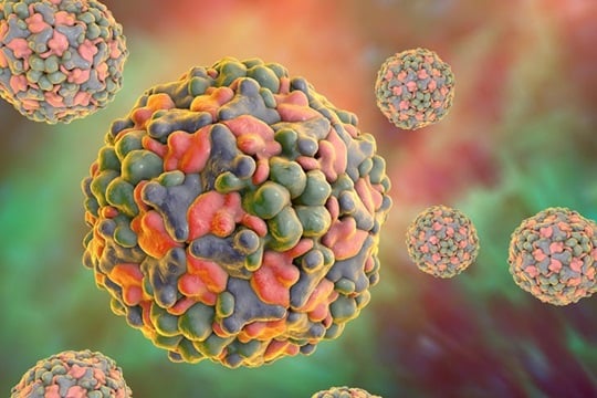 Enteroviruses