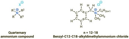 Quaternary ammonium deals compounds