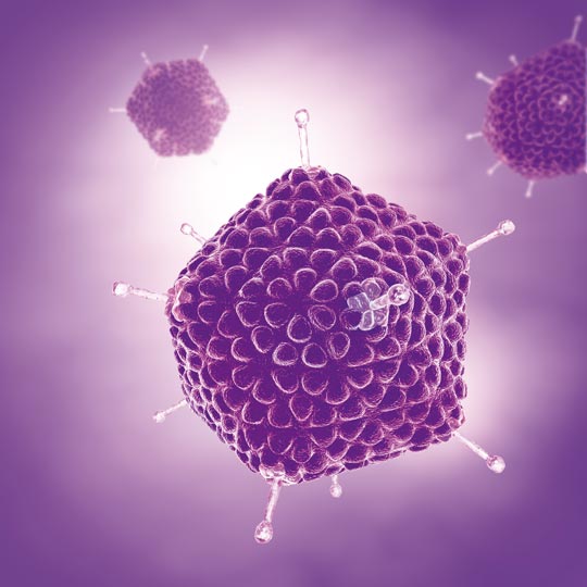 Astrovirus